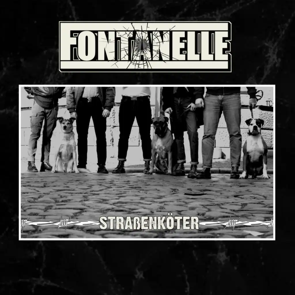 Fontanelle