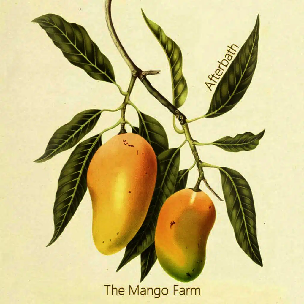 The Mango Farm