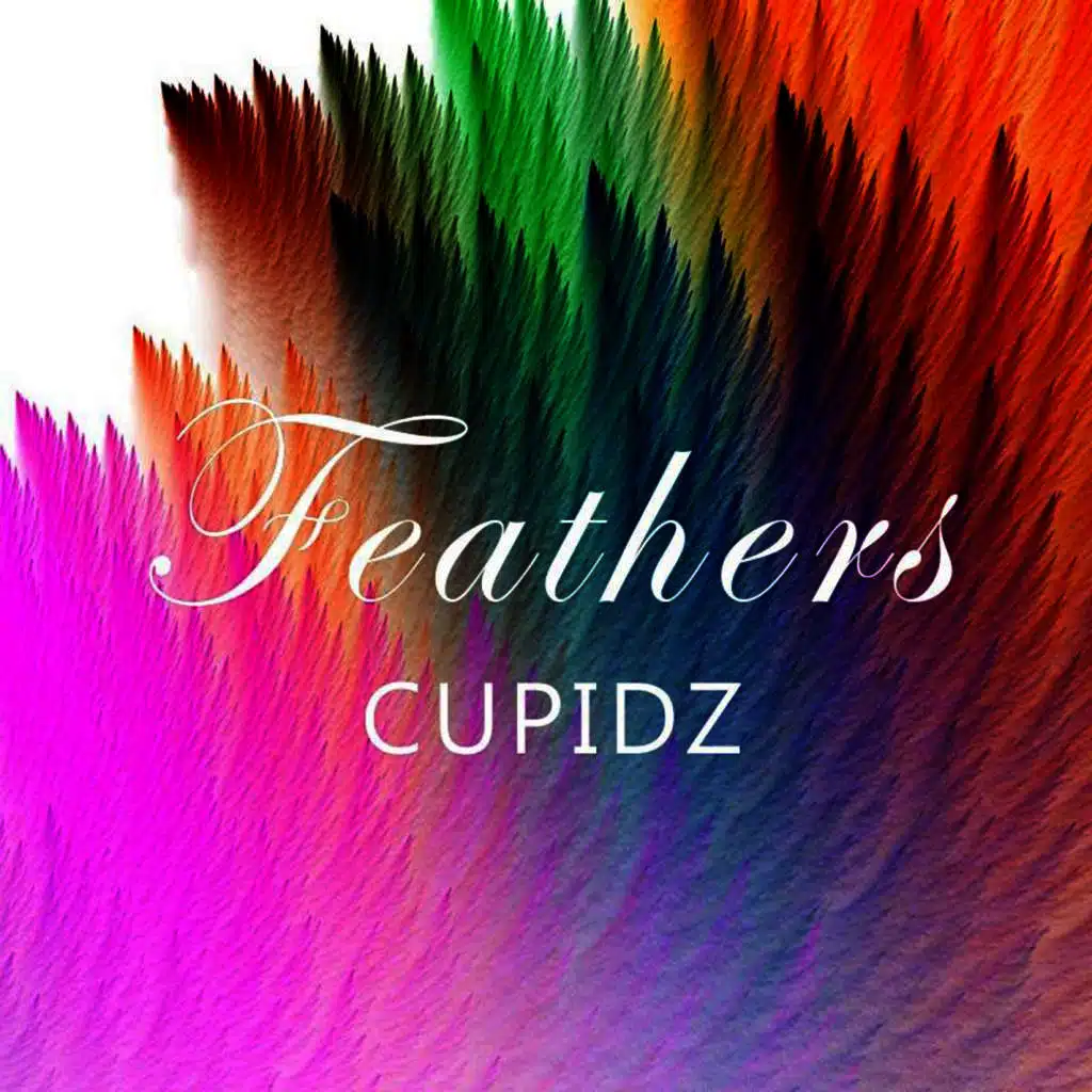 Feathers