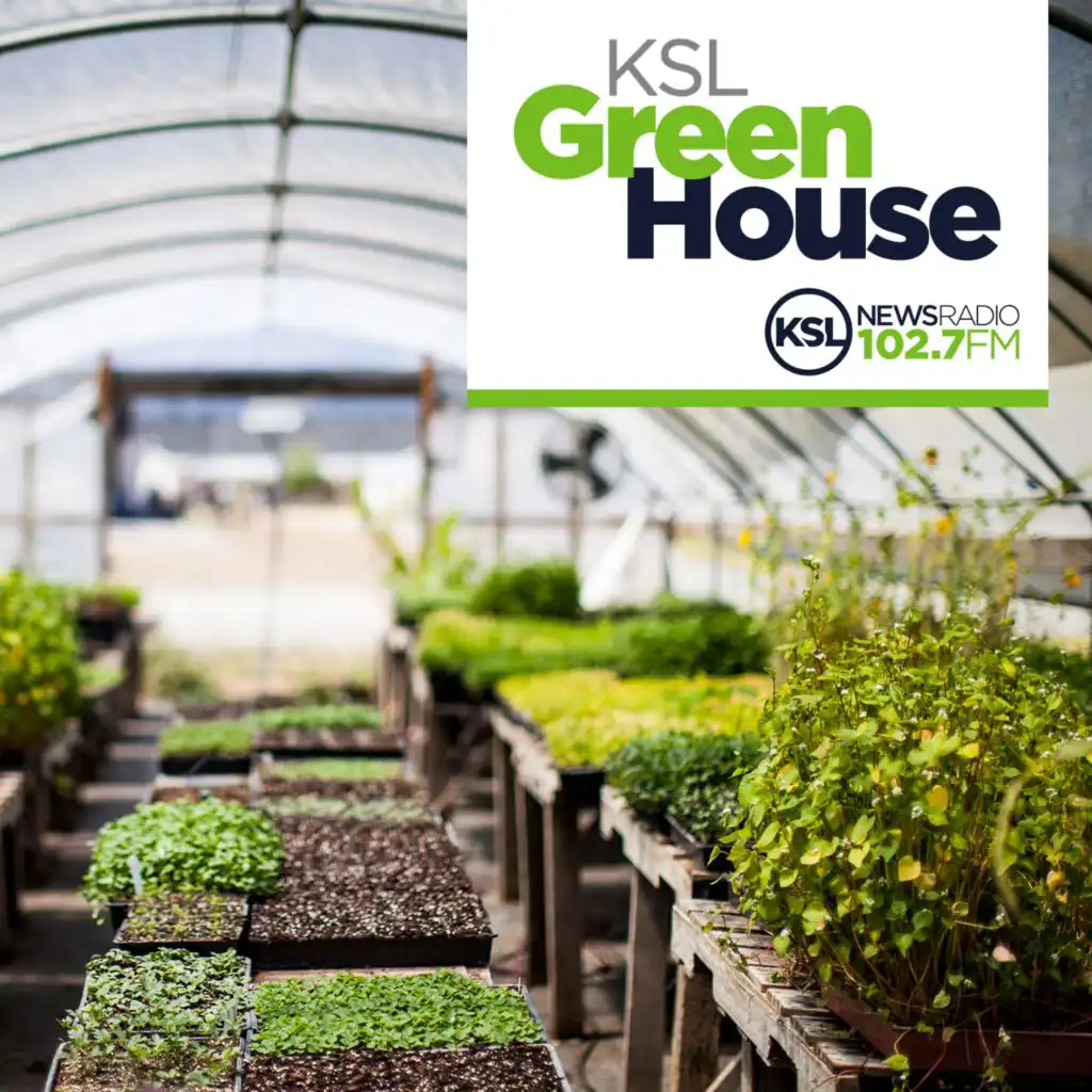 KSL Greenhouse