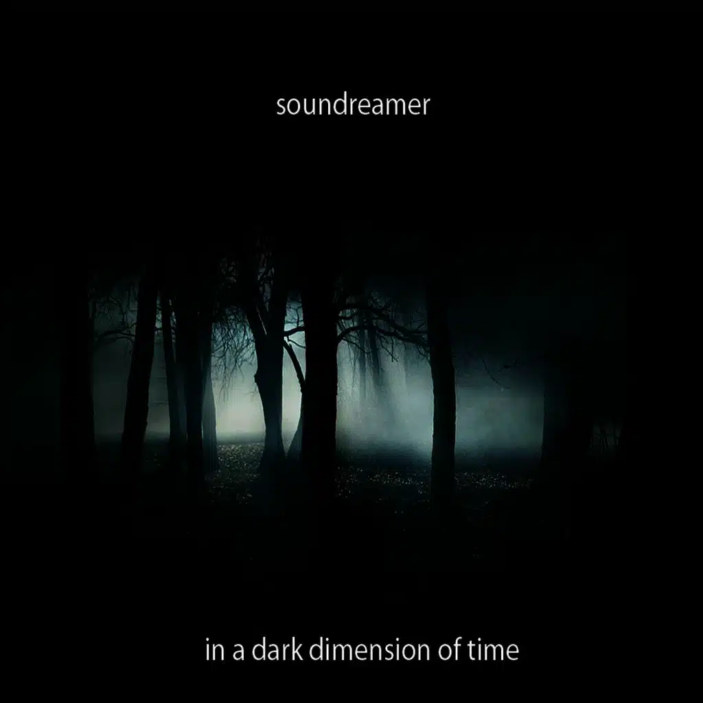 In a Dark Dimension of Time