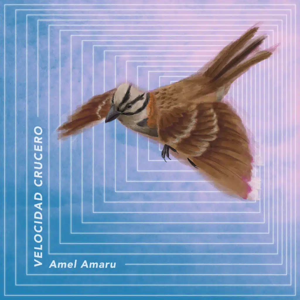 Amel Amaru
