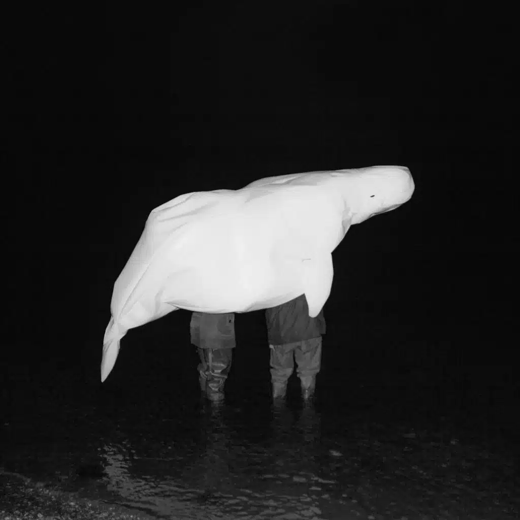 août