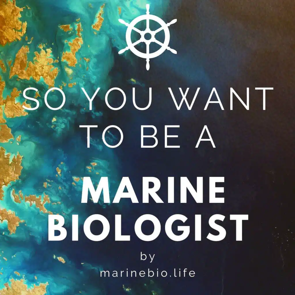 1. What Does it Take to Be a Marine Biologist?