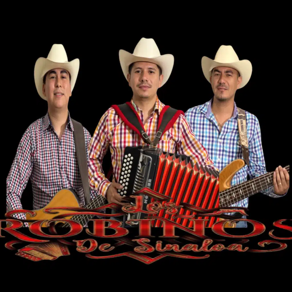 Álbum 01