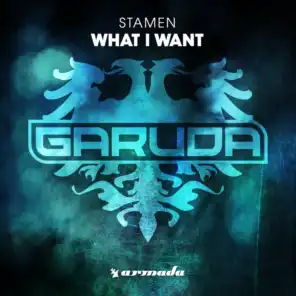 What I Want (Extended Mix)