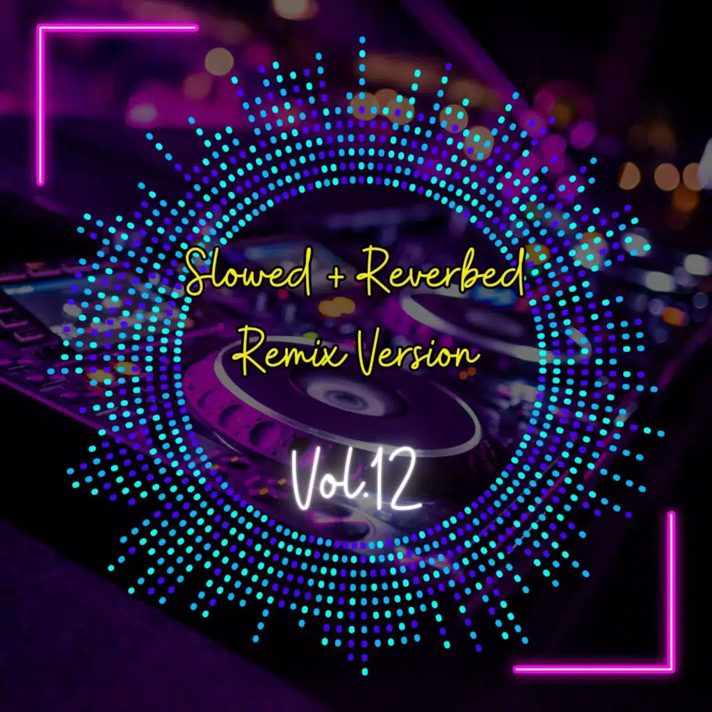 Slowed + Reverbed Remix Version, Vol. 12