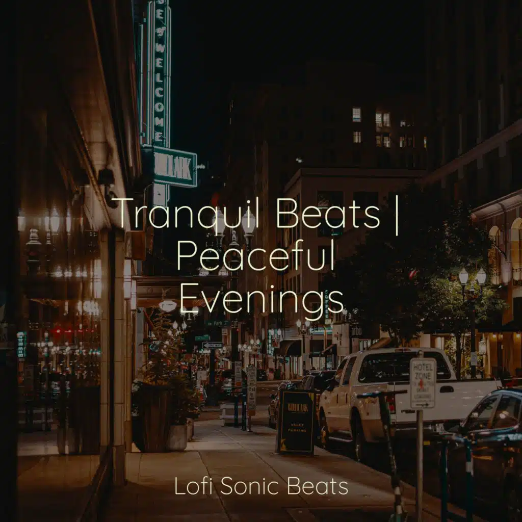 Work Music, Lofi Beats & Lo-Fi Japan