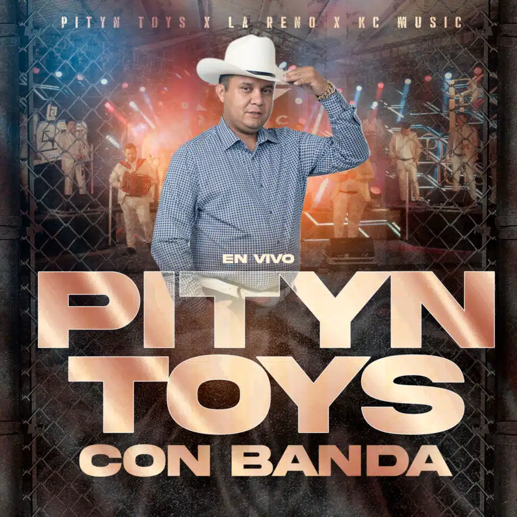 Pityn Toys