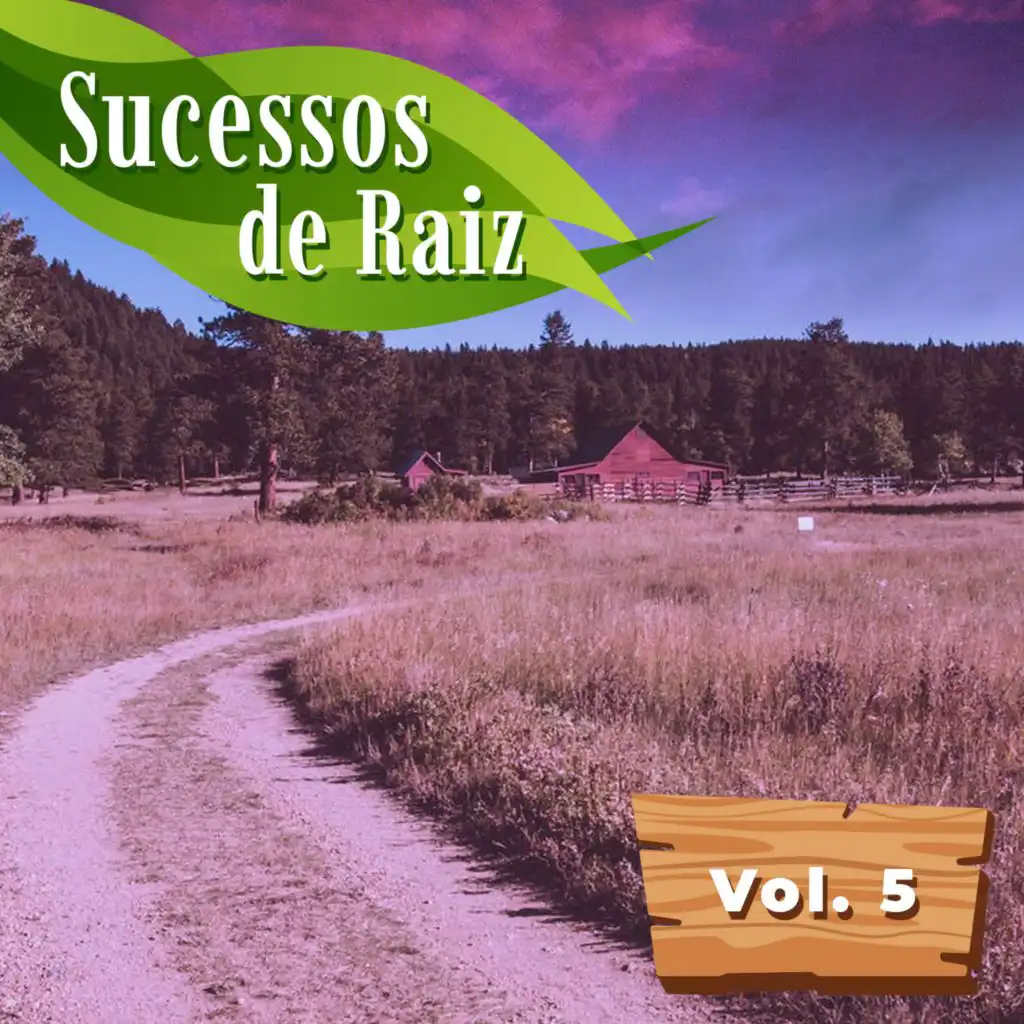 Sucessos de Raiz Vol.5