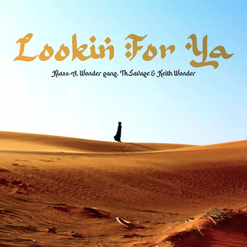 Lookin for ya (feat. Wonder gang)