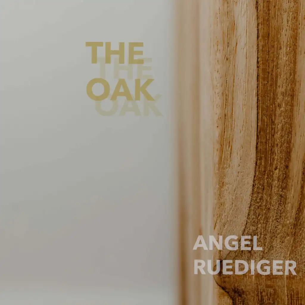 Angel Ruediger