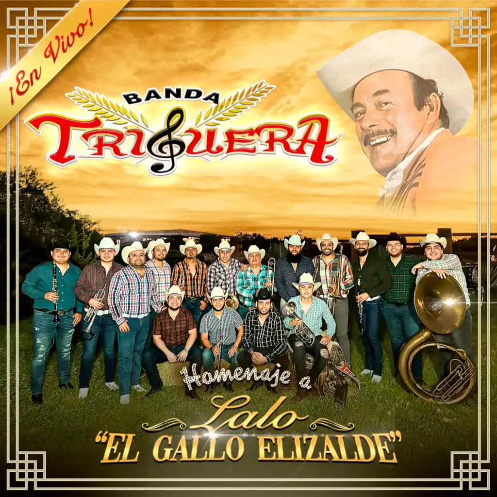 Banda Triguera