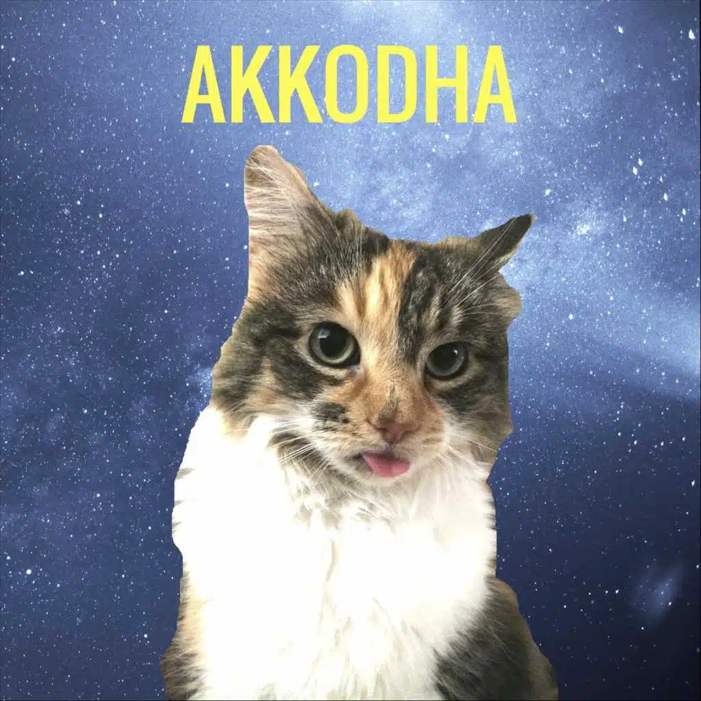 Akkodha