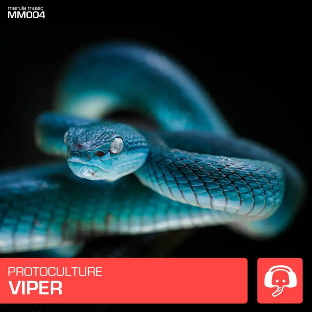 Viper (Extended Mix)