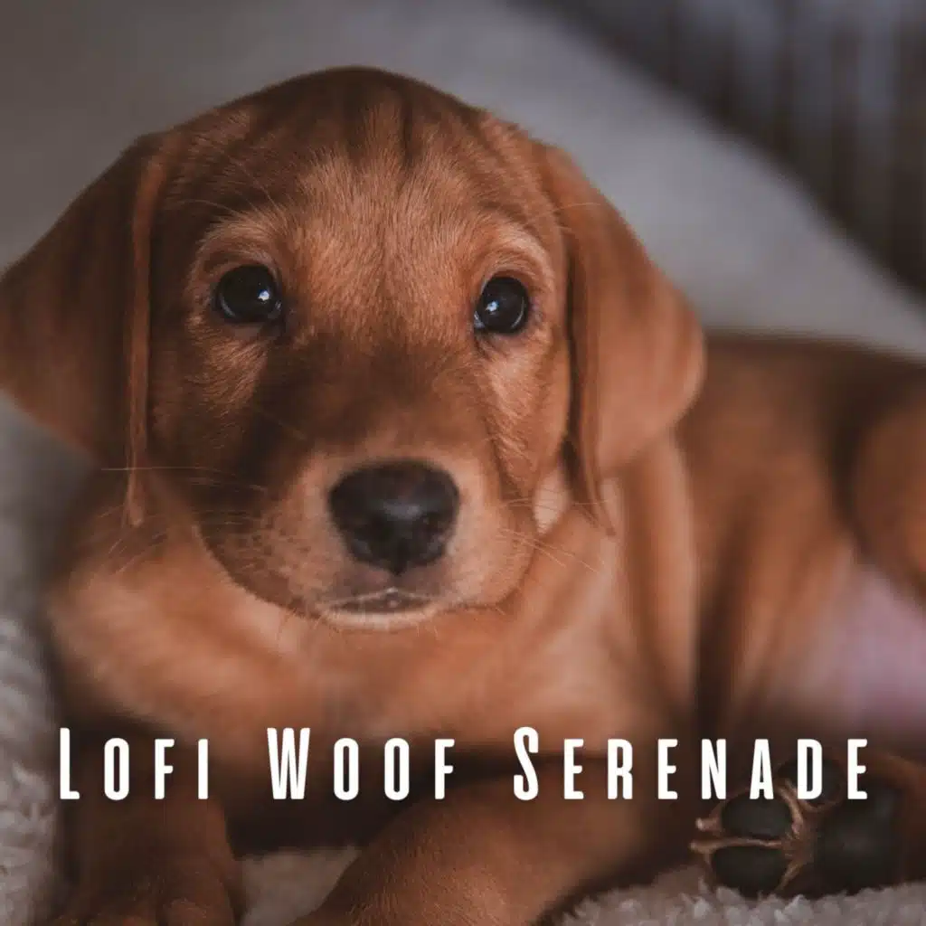 Lofi Woof Serenade: Melodic Moments with Your Dog