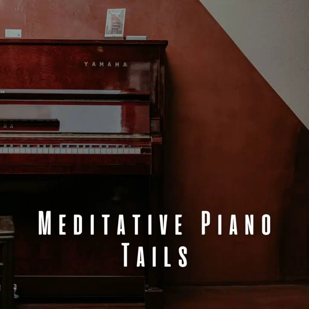Meditative Piano Tails: Soothing Music for Pets