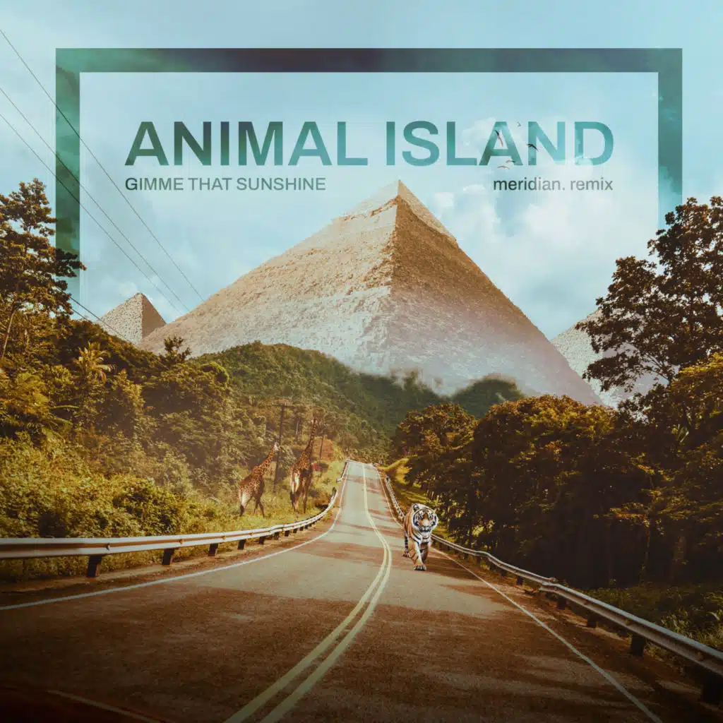 Animal Island