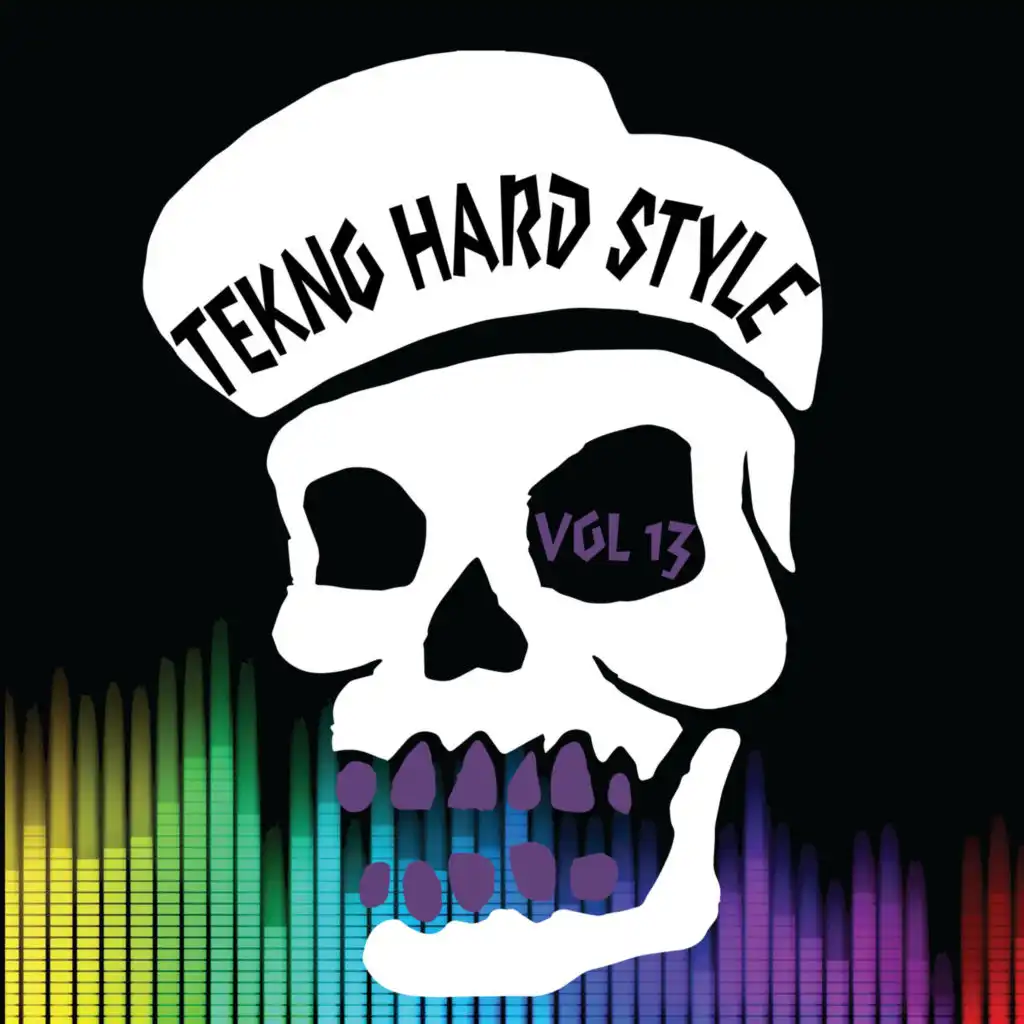 Tekno Hard Style, Vol. 13