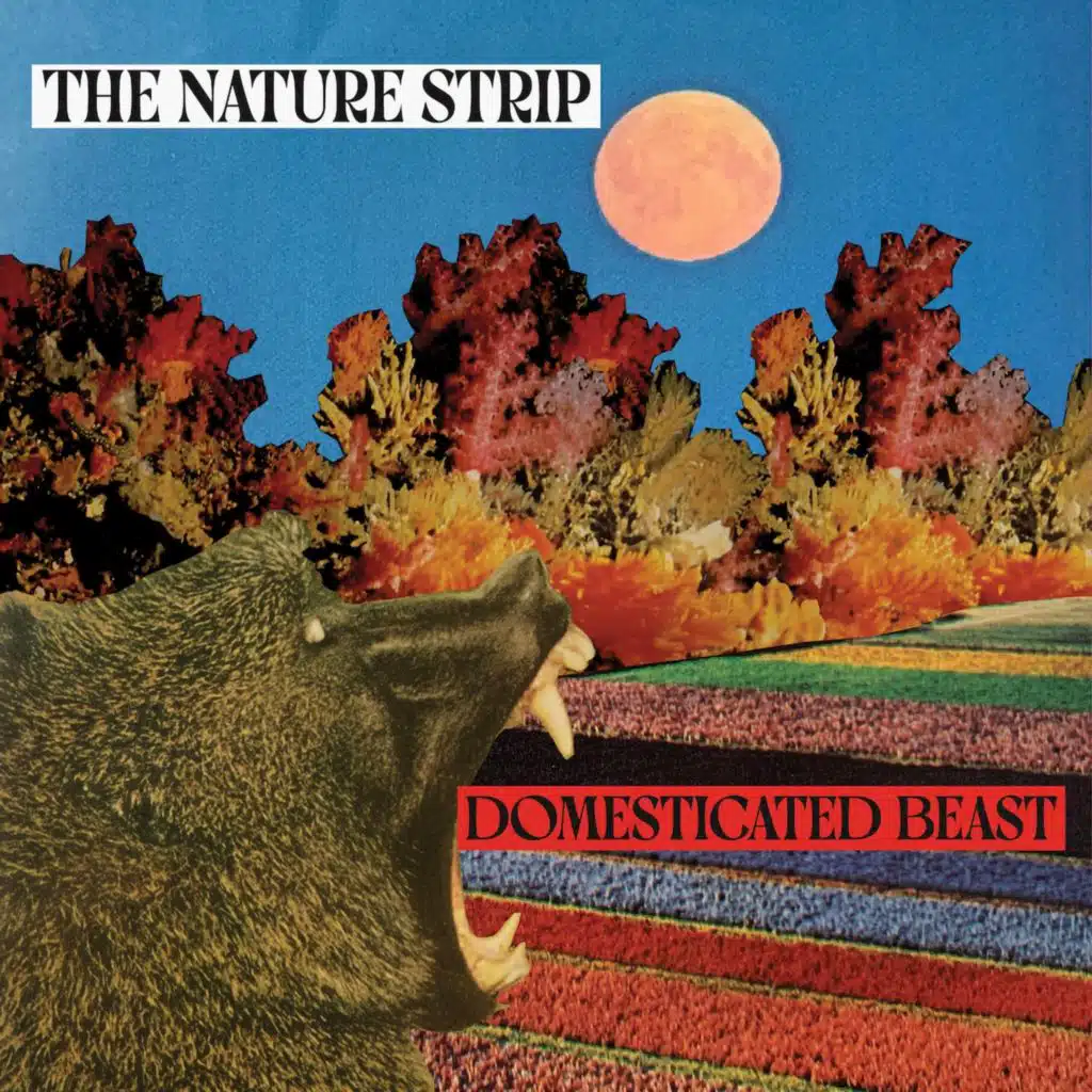 The Nature Strip
