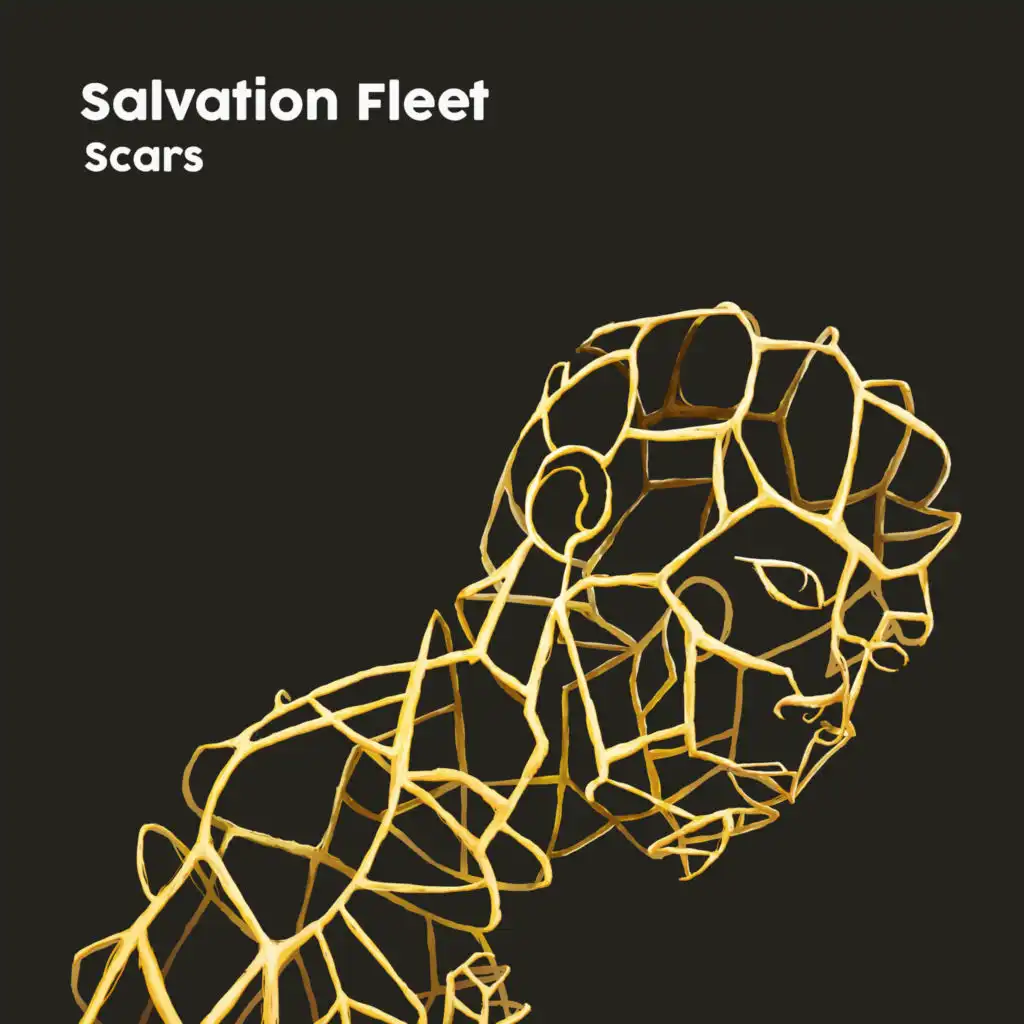 Salvation Fleet