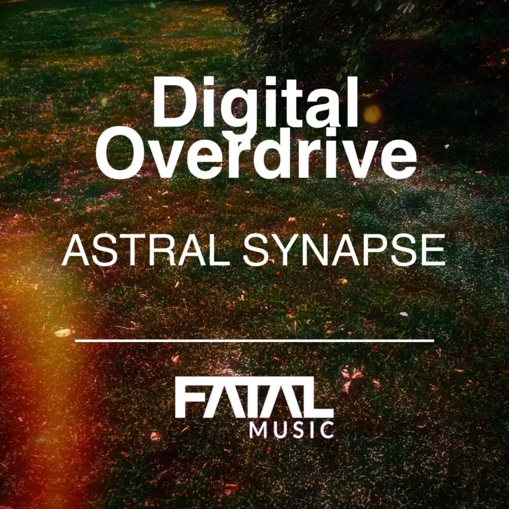 Digital Overdrive