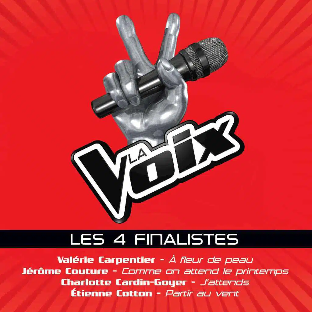 La Voix: Les 4 Finalistes