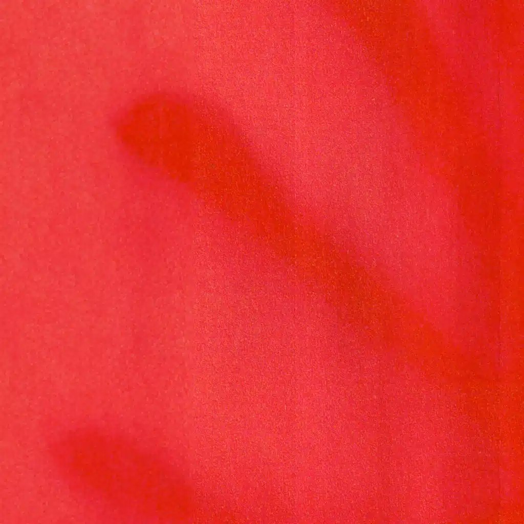 La Bestia (feat. DORA)