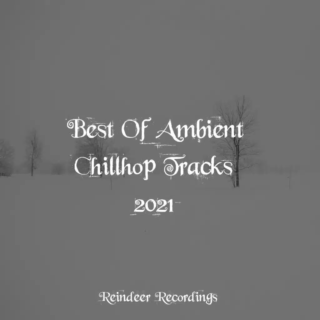 Best Of Ambient Chill Tracks 2021