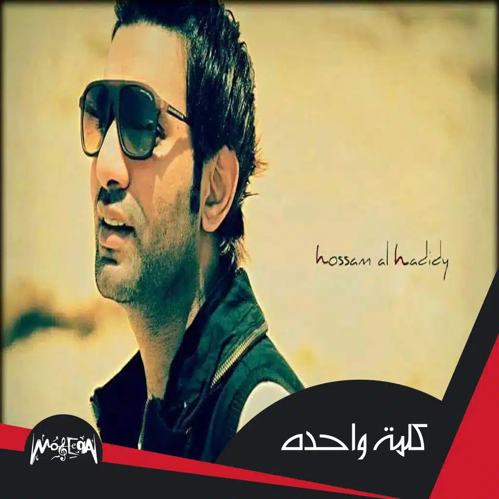 Hossam Al Hadidy
