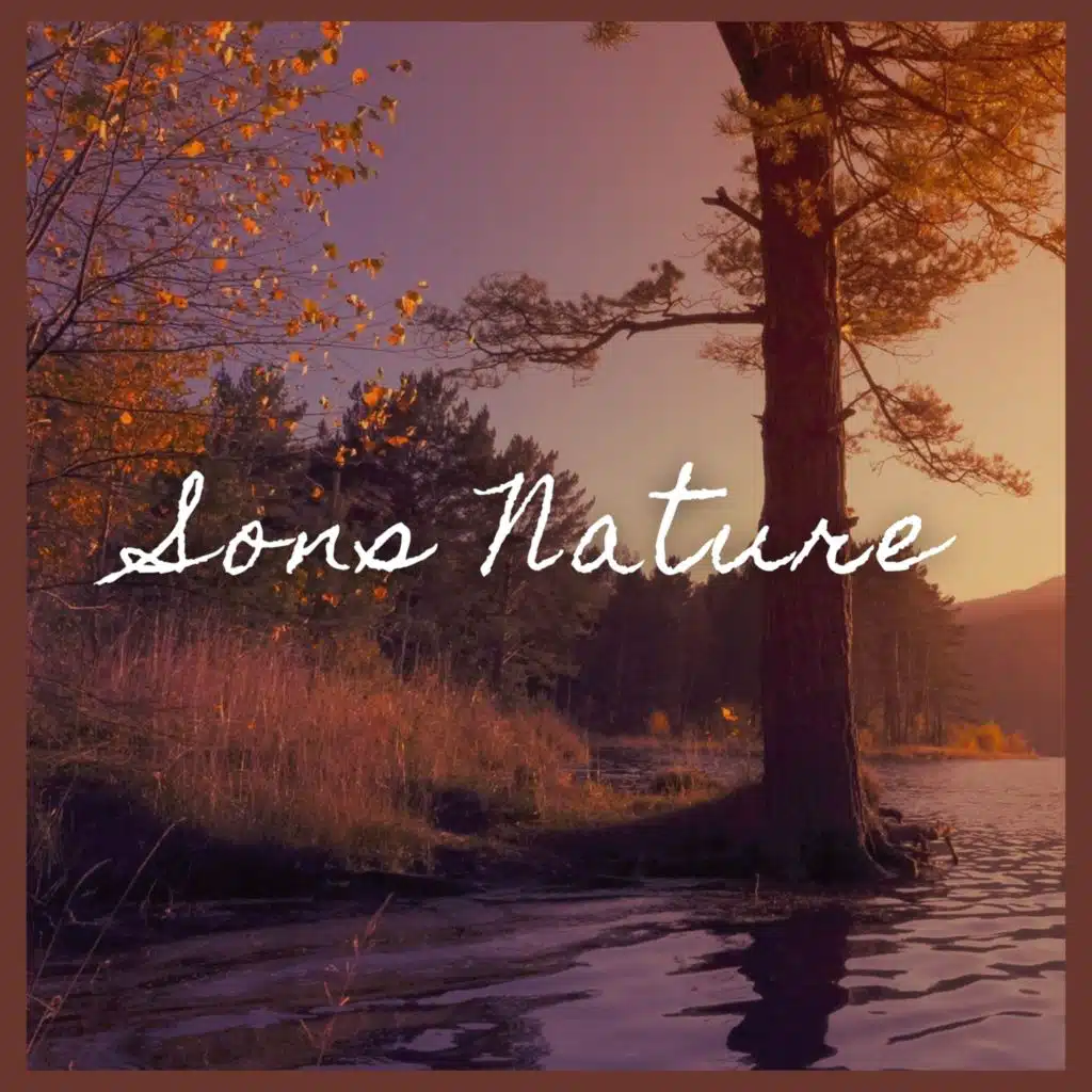 Sons de la Nature Projet France de TraxLab