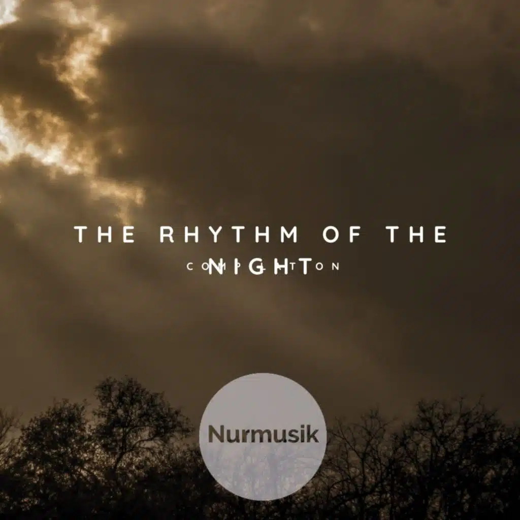 The Rhythm of the Night