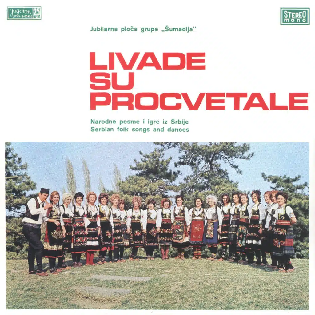 Čik Curo, Pogledaj Me