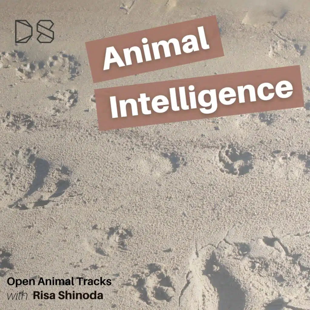 Open Animal Tracks