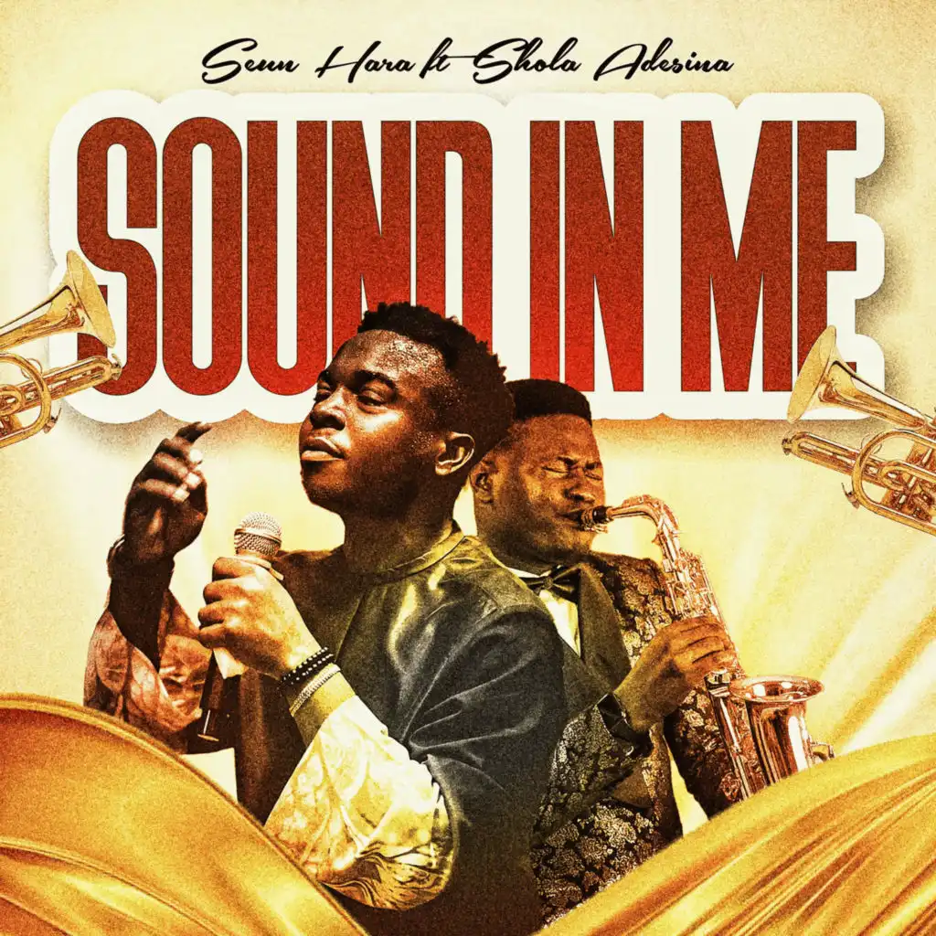 Sound in Me (feat. Shola Adesina)