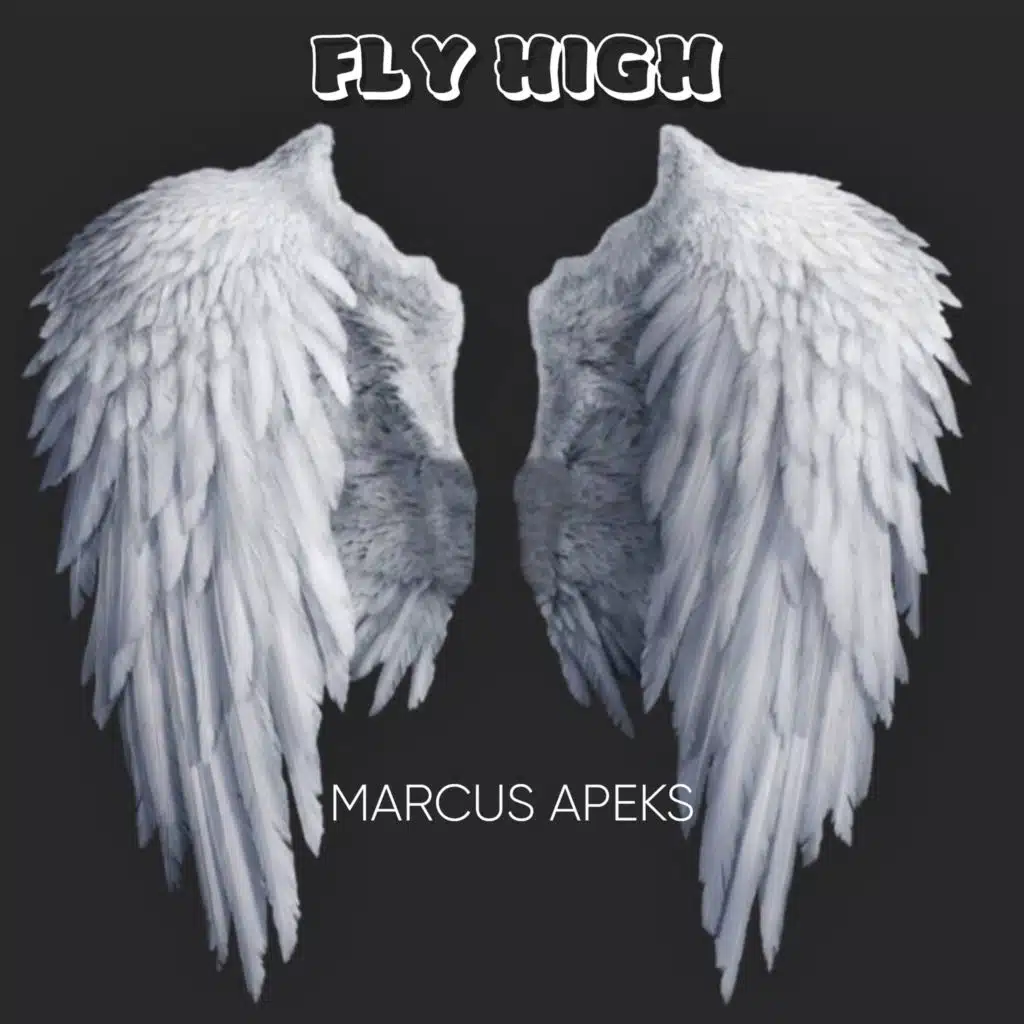 Fly High (feat. PARANOIA)