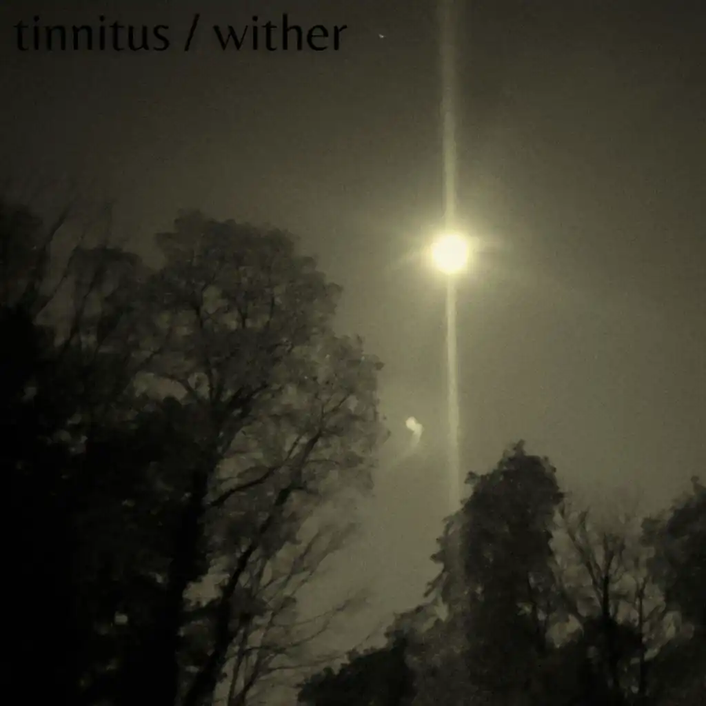 Tinnitus