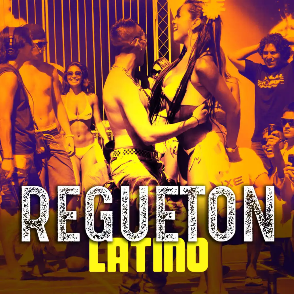 Reggaeton Indecente (Remix)