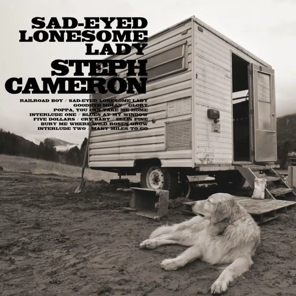 Sad-Eyed Lonesome Lady