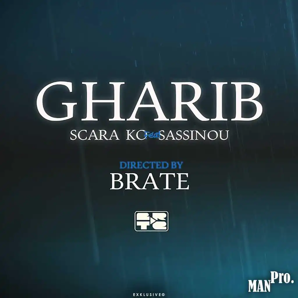 Gharib (feat. Sassinou)