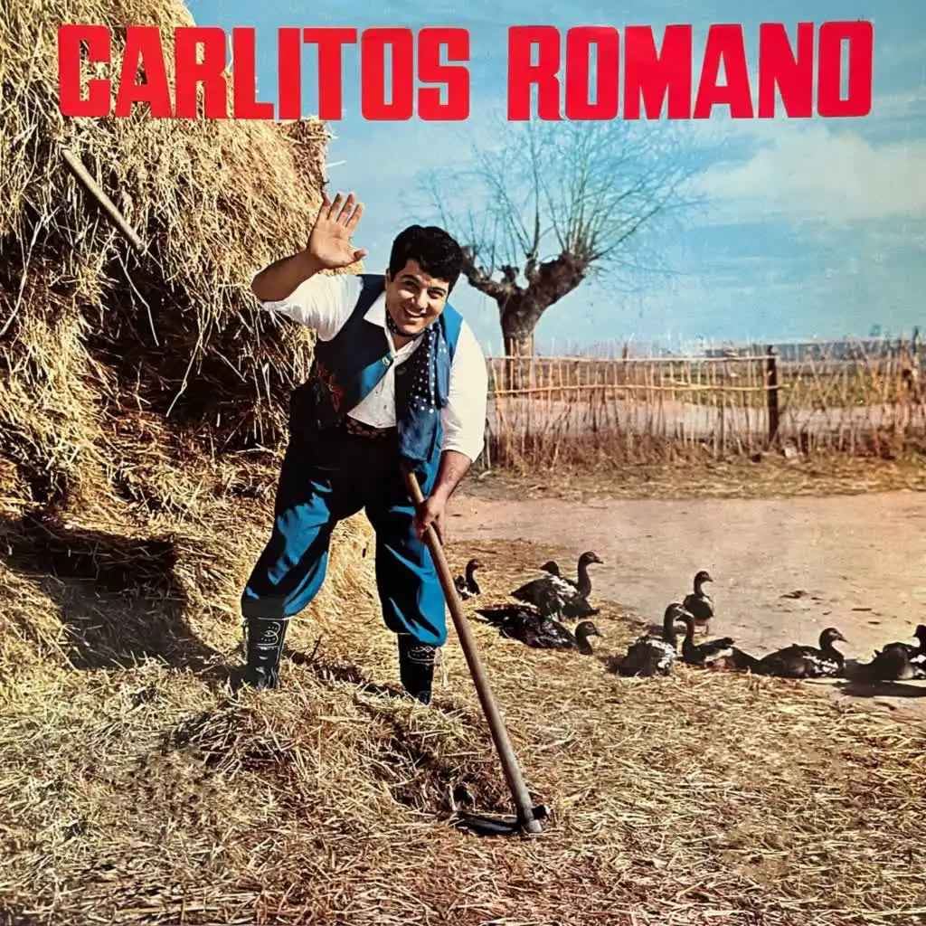 Carlitos Romano