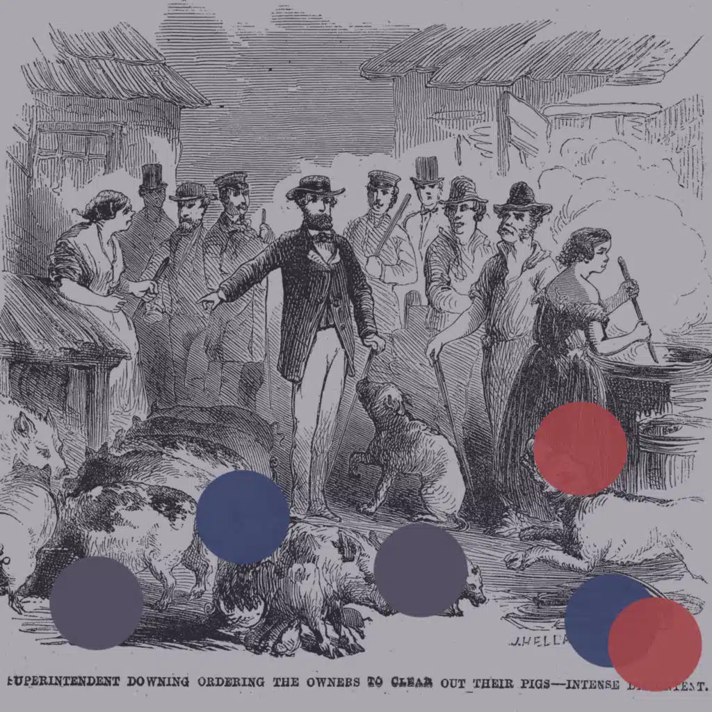 The New York City Pig Wars (1859)