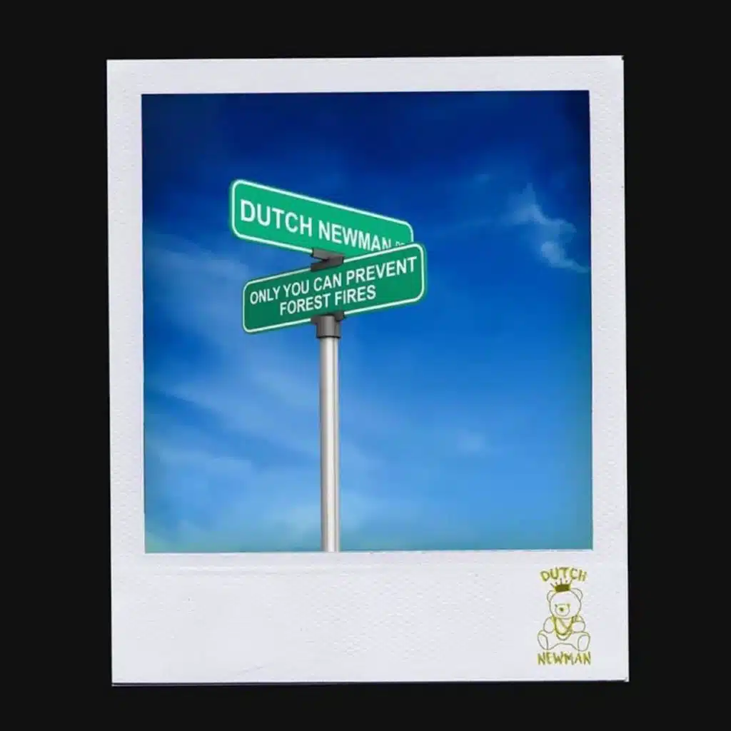 Only You Can Prevent Forest Fires