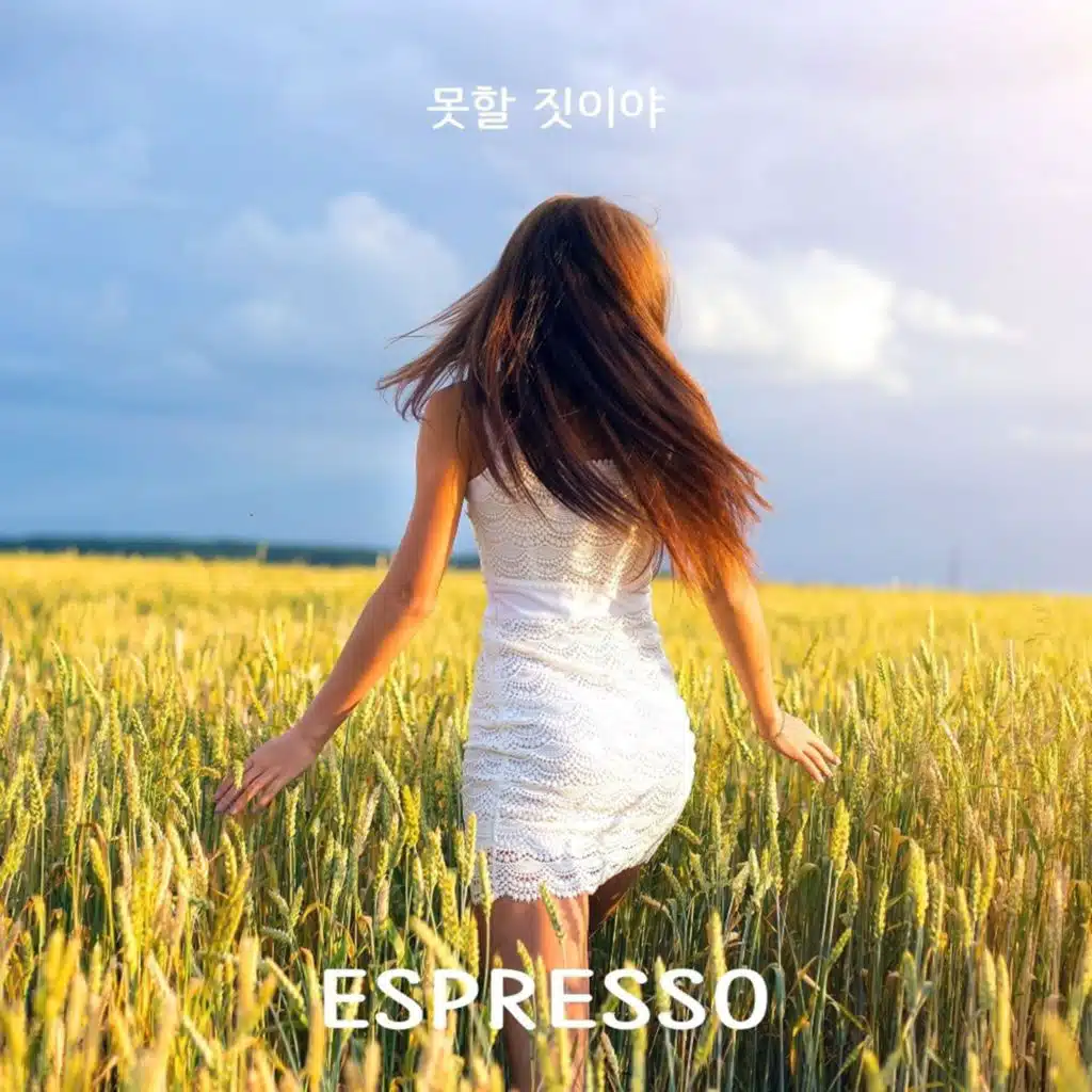 못할 짓이야 (Inst.)