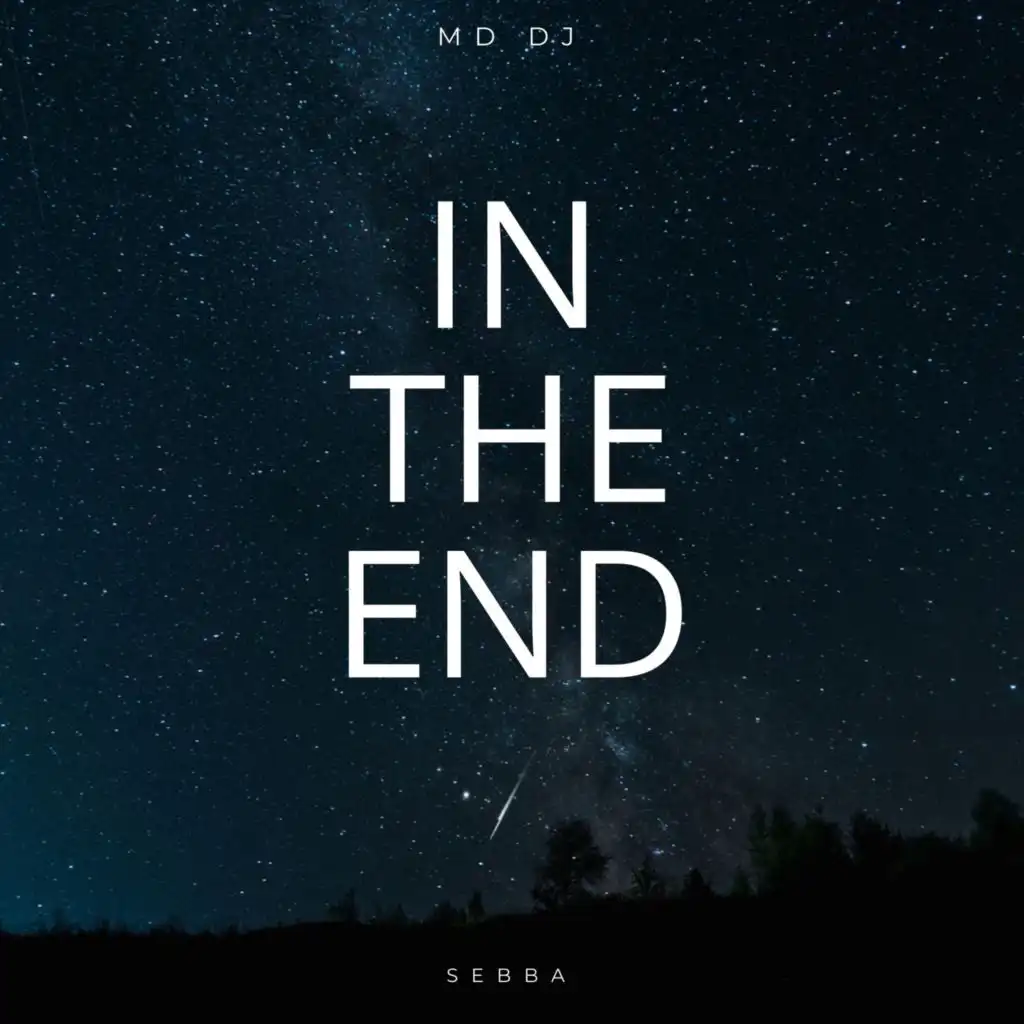 In The End (Extended) [feat. Sebba]