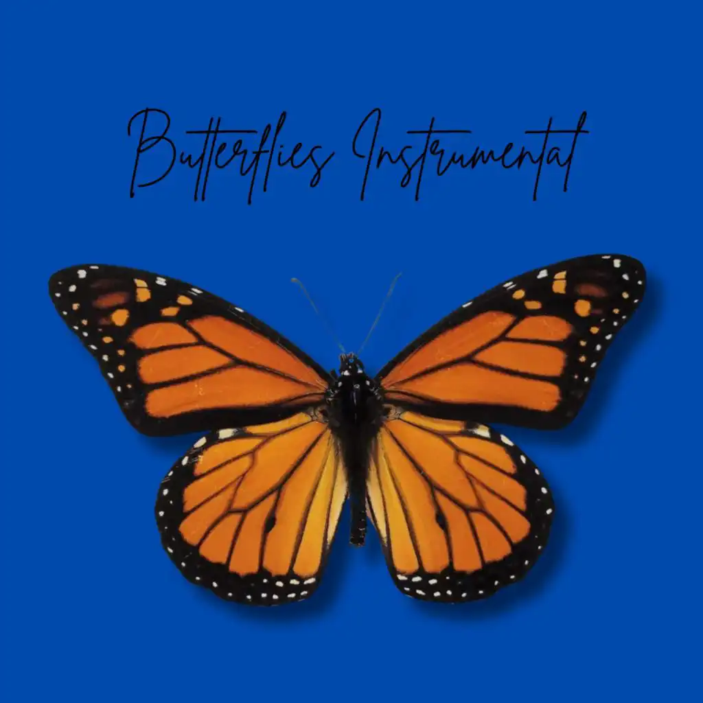 Butterflies (Instrumental)