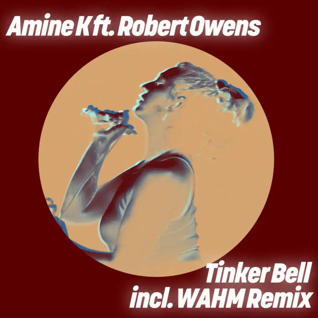 Tinker Bell (feat. Robert Owens)