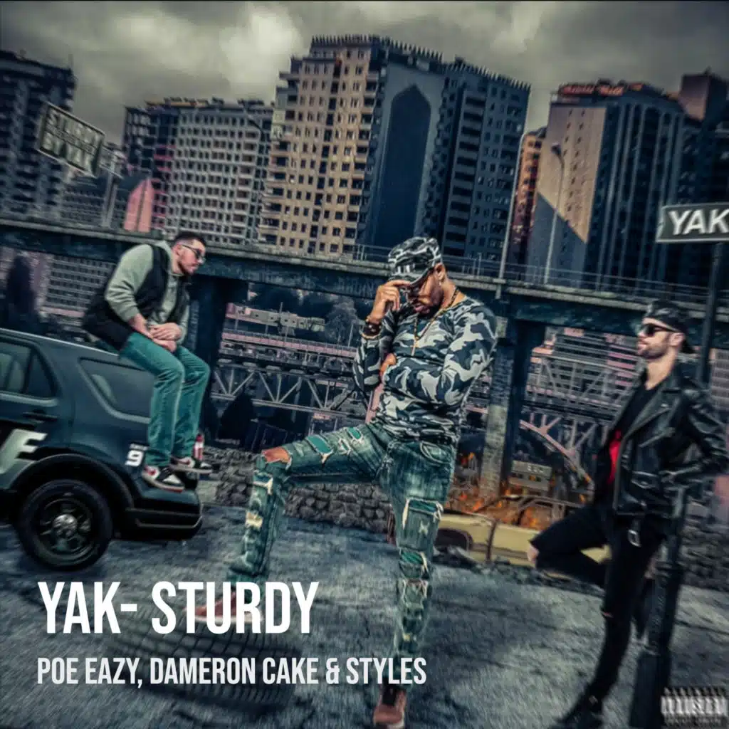 Yak- Sturdy