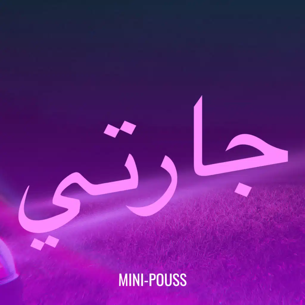 MINI-POUSS