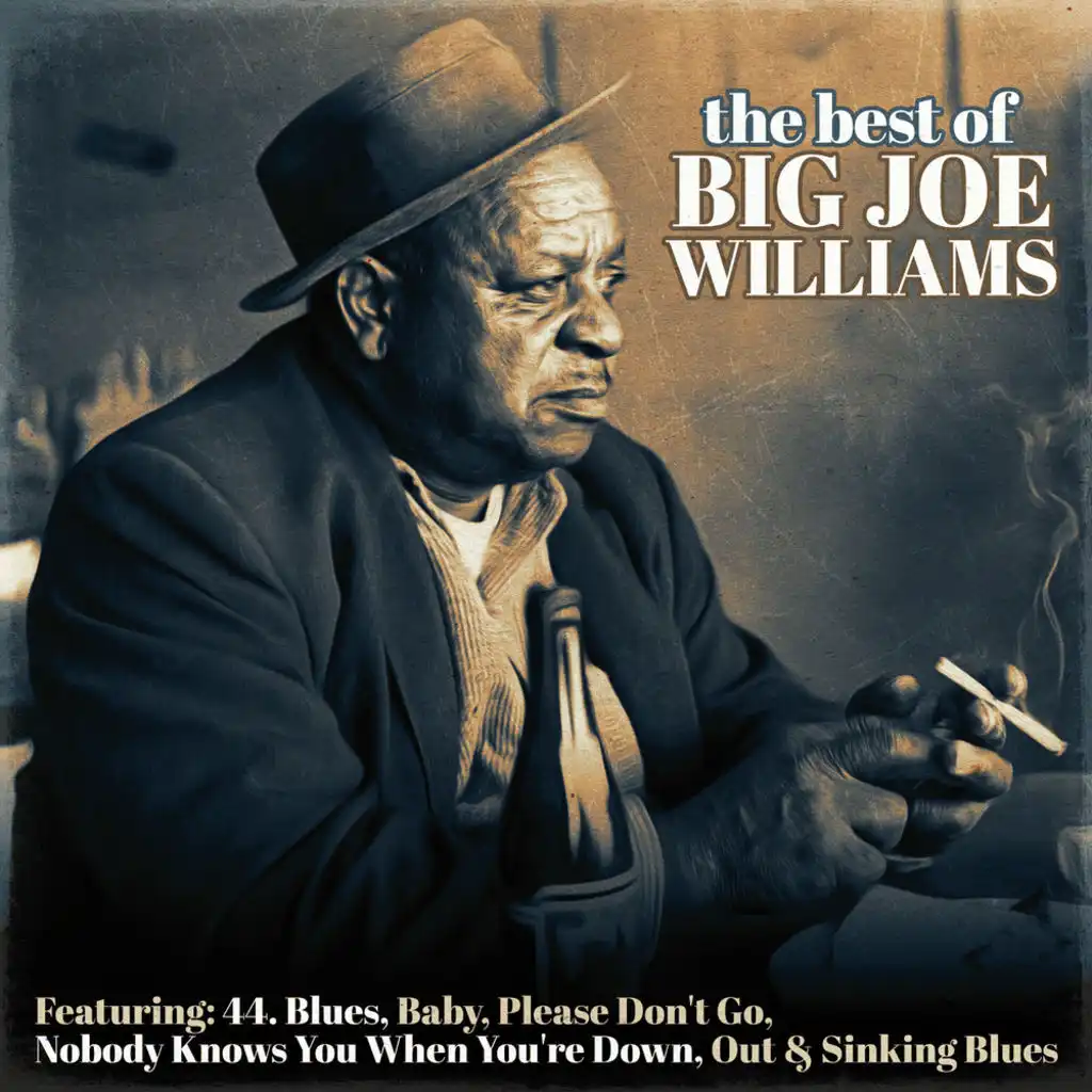 The Best of Big Joe Williams